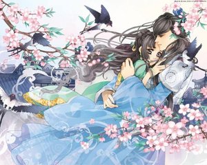 狼友不迷路网站入口